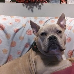 Meet your Posher, Lori